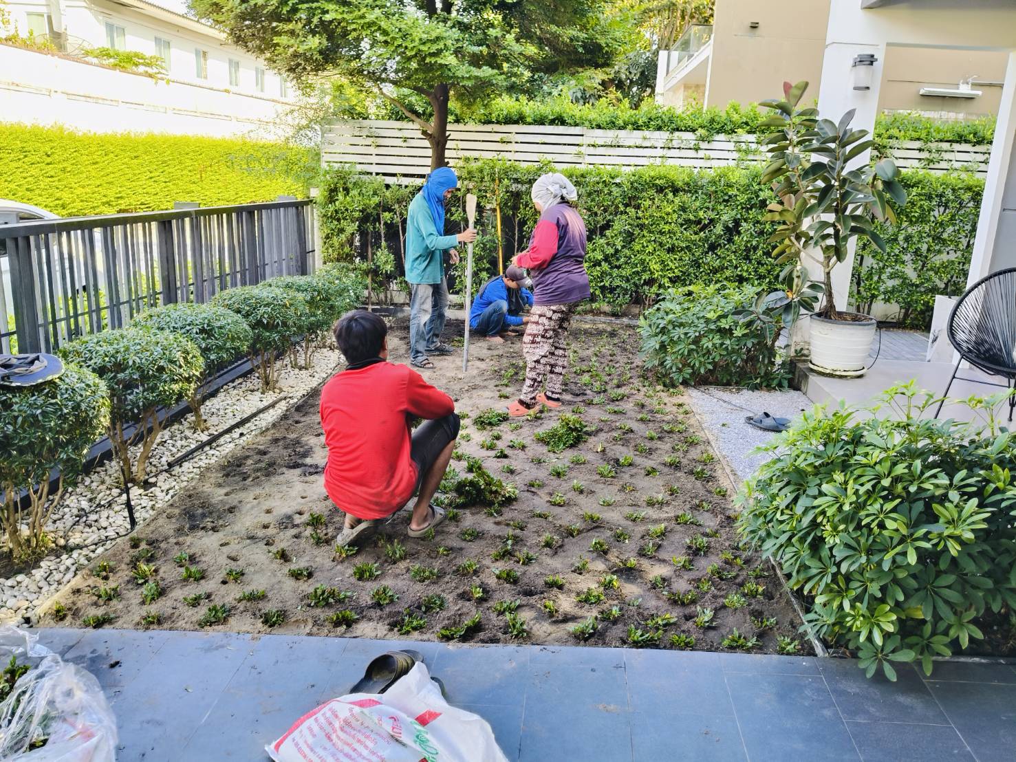 การจัดสวน: เปลี่ยนพื้นที่ธรรมดาให้เป็นมุมพักผ่อนด้วยไอเดียจัดสวนที่ลงตัว